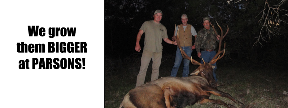 Elk kill at Parsons Whitetail Ranch