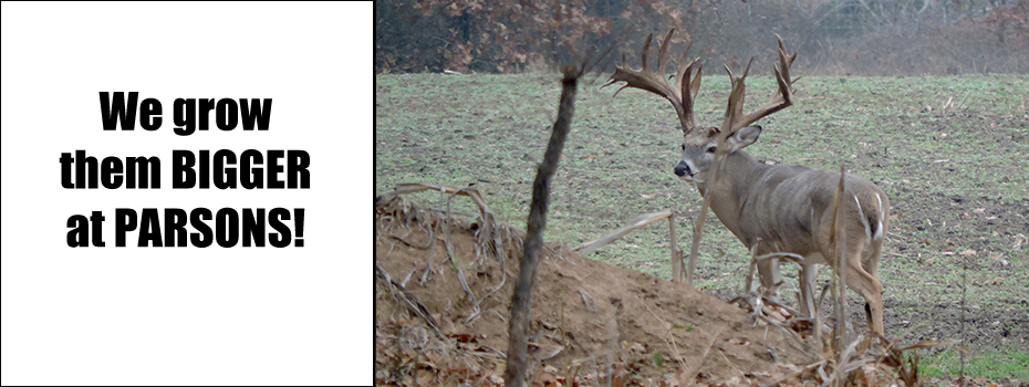 Texas Largest Bucks - Parsons Whitetail Ranch